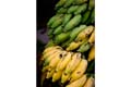 Preview Image 2